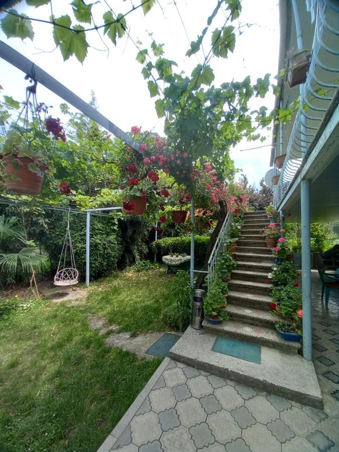 Valiko House In Telavi Hotel Ngoại thất bức ảnh
