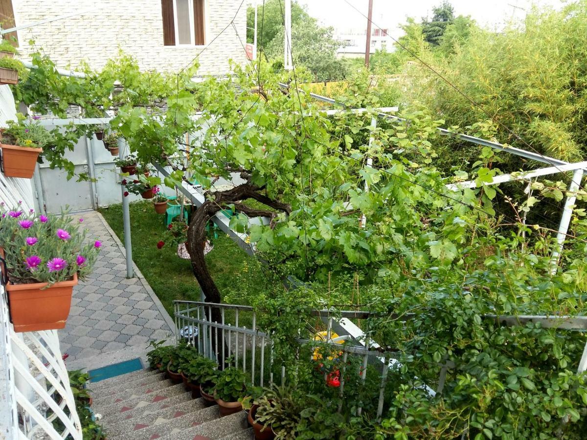 Valiko House In Telavi Hotel Ngoại thất bức ảnh